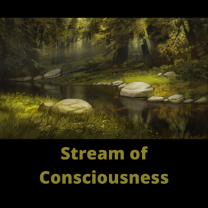 What is Stream of Consciousness?