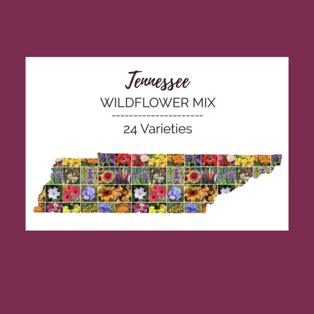 flower packet seeds Premium Flower Garden Starter Kit main image 1
