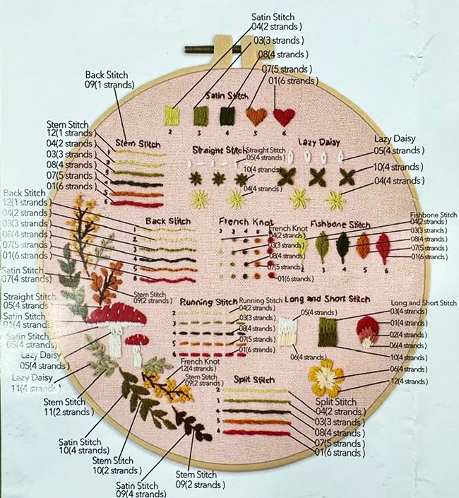 A diagram of various types of flowers and plants.